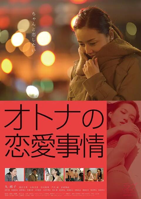 成年人的爱情故事(全集)